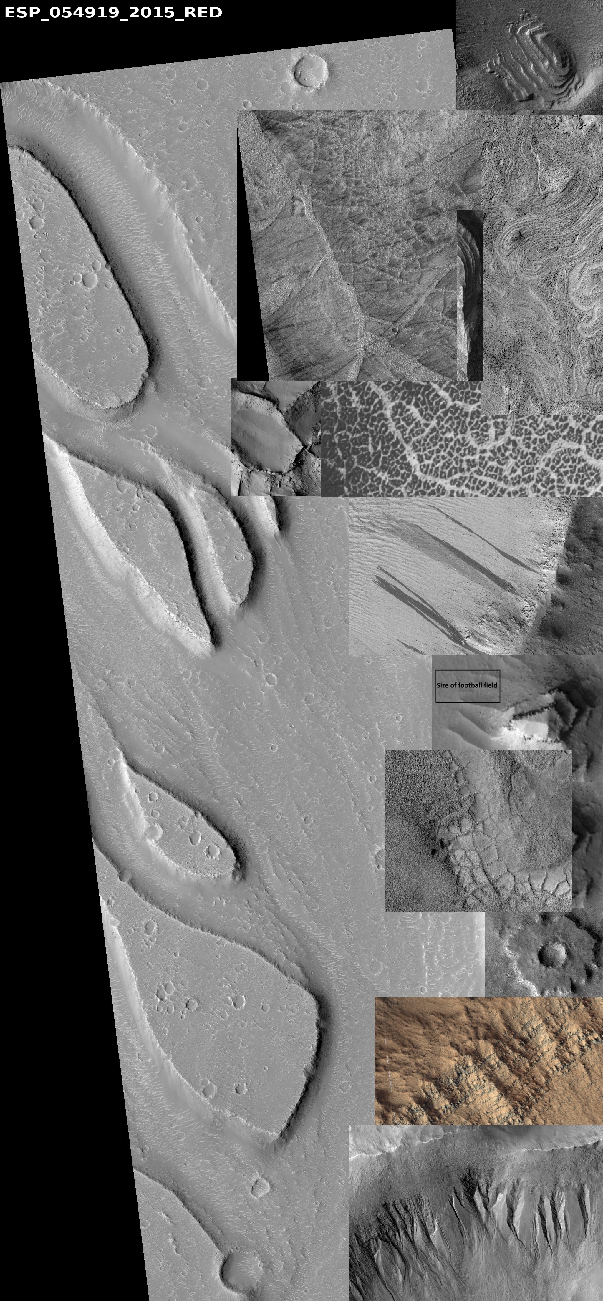 Common features around mars