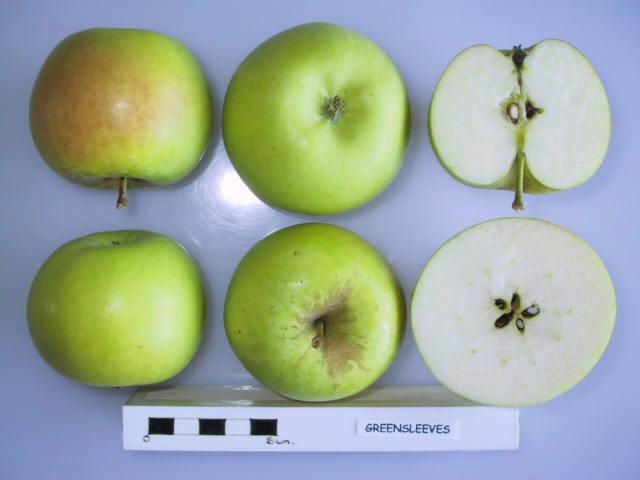 File:Cross section of Greensleeves, National Fruit Collection (acc. 1980-077).jpg