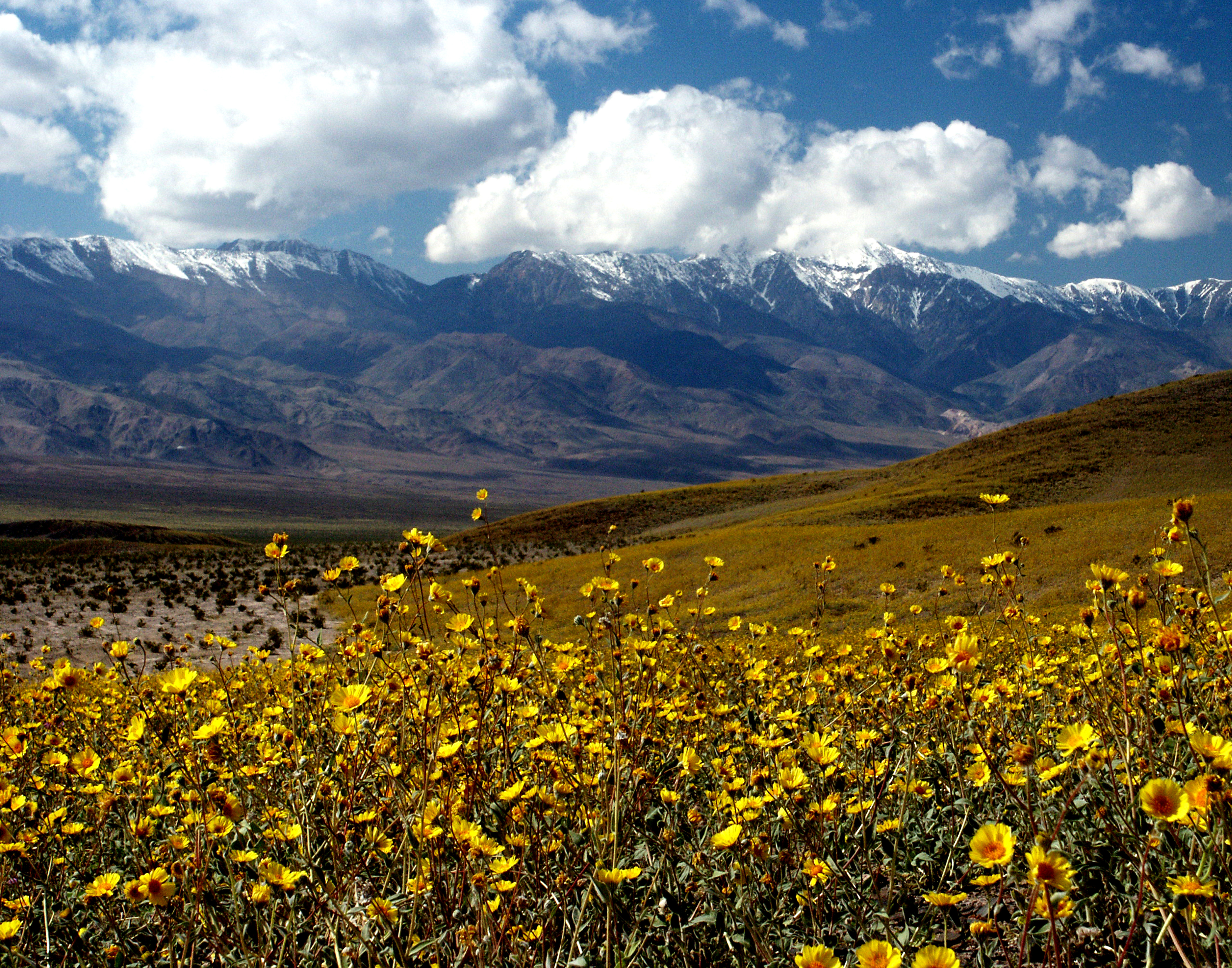 Dingleberry Lake, Inyo County