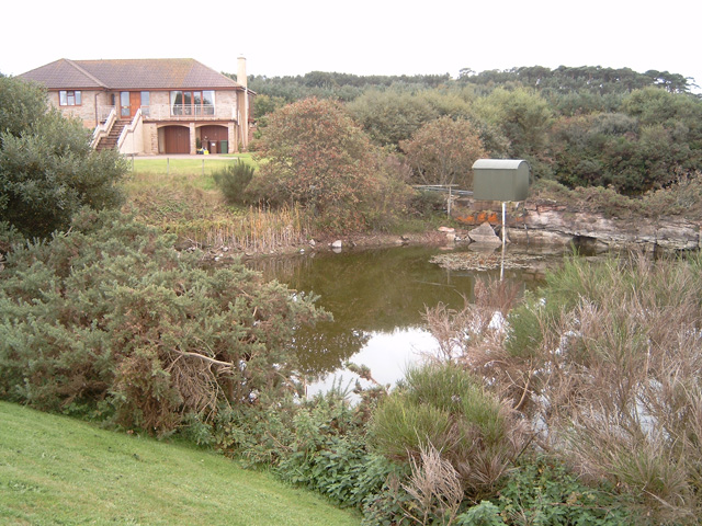 File:Disused and flooded sandstone quarry - geograph.org.uk - 251706.jpg