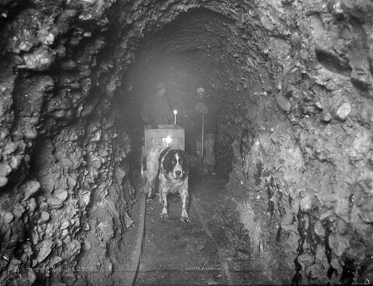 File:Dog in a drift underground pulling a mining car as two miners look on, Yukon Territory, between 1894 and 1904 (AL+CA 2974).jpg