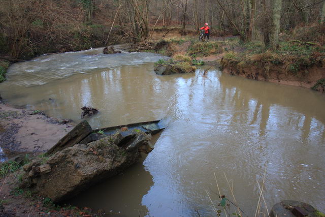 File:Dowles Brook - geograph.org.uk - 1670158.jpg