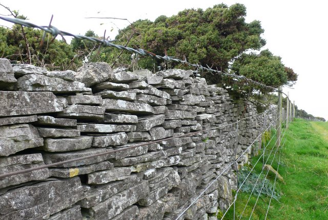 File:Dry stone wall, Bronkham Hill - geograph.org.uk - 1034614.jpg