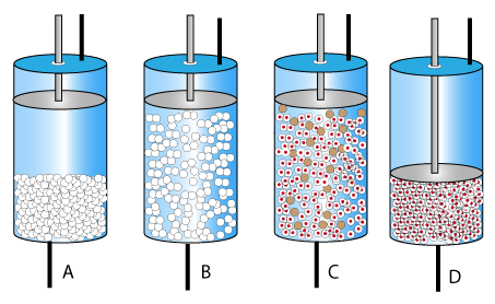 Expanderad Bed Adsorption