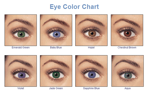 File:Eye Color Chart by ygraph.png