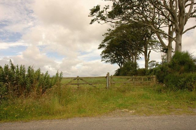 File:Field and edge of trees at Drumligair - geograph.org.uk - 508676.jpg