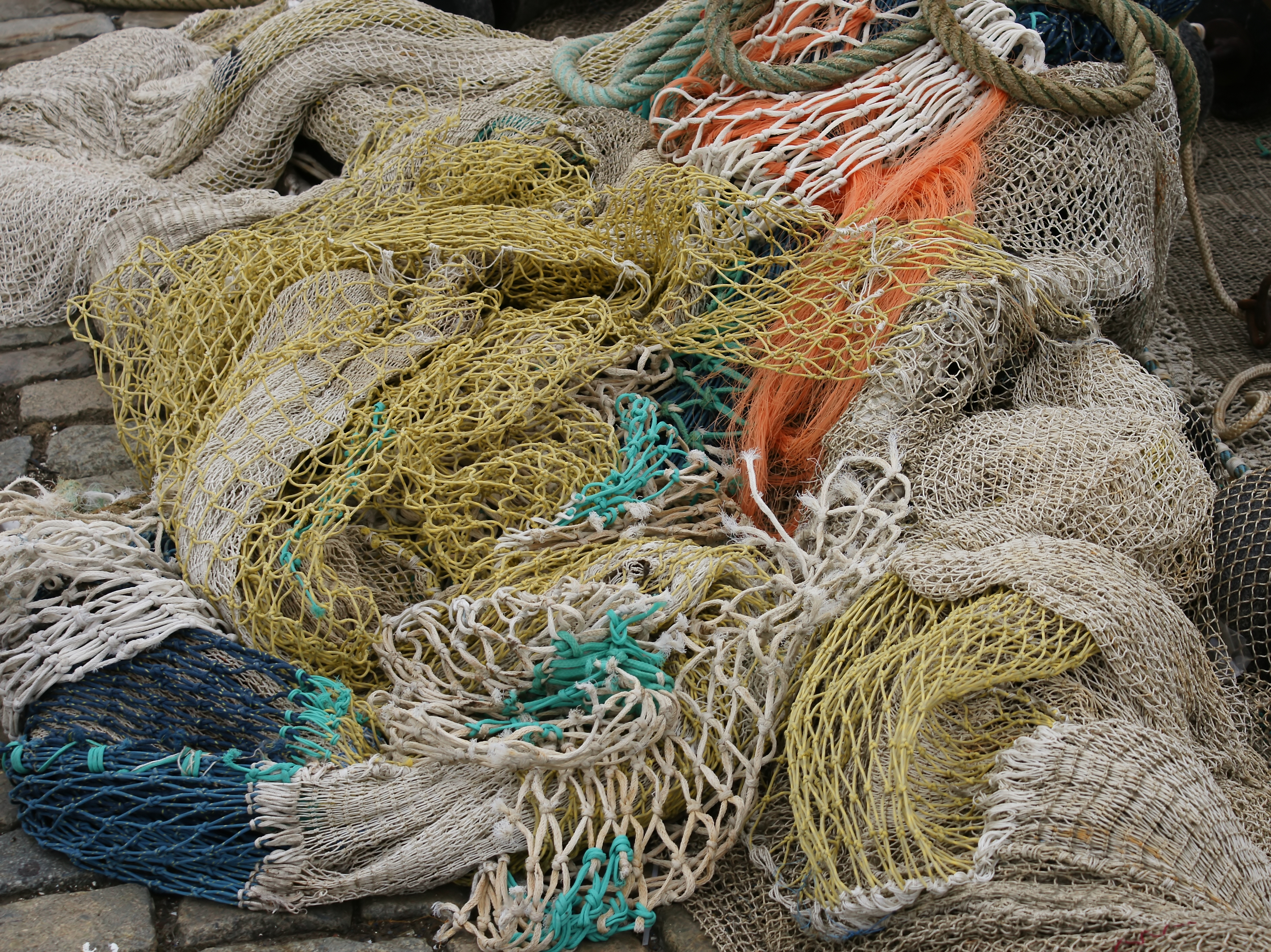 https://upload.wikimedia.org/wikipedia/commons/e/e6/Fishing_nets.jpg