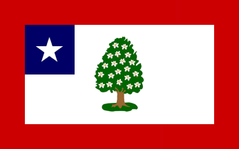 File:Flag of Mississippi (1861–1865).gif