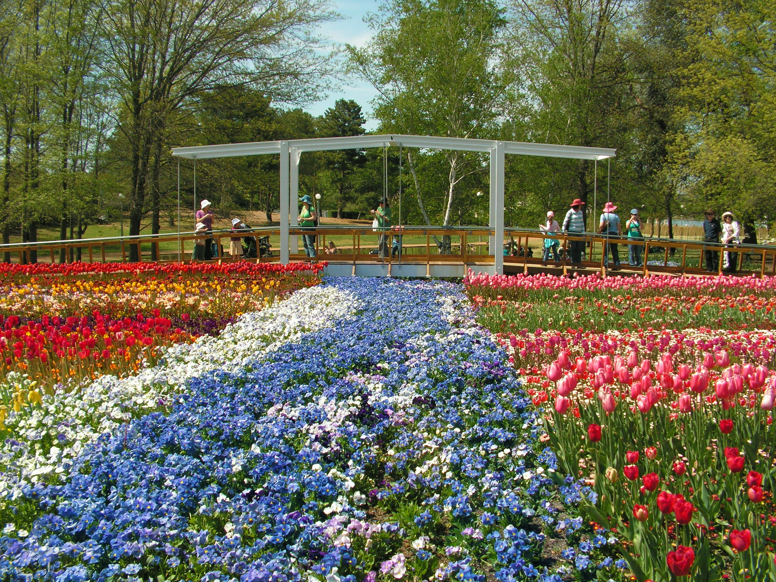 file-floriade-canberra-australia-jpg-wikimedia-commons