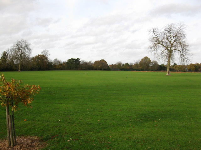 File:Grass - geograph.org.uk - 1588328.jpg