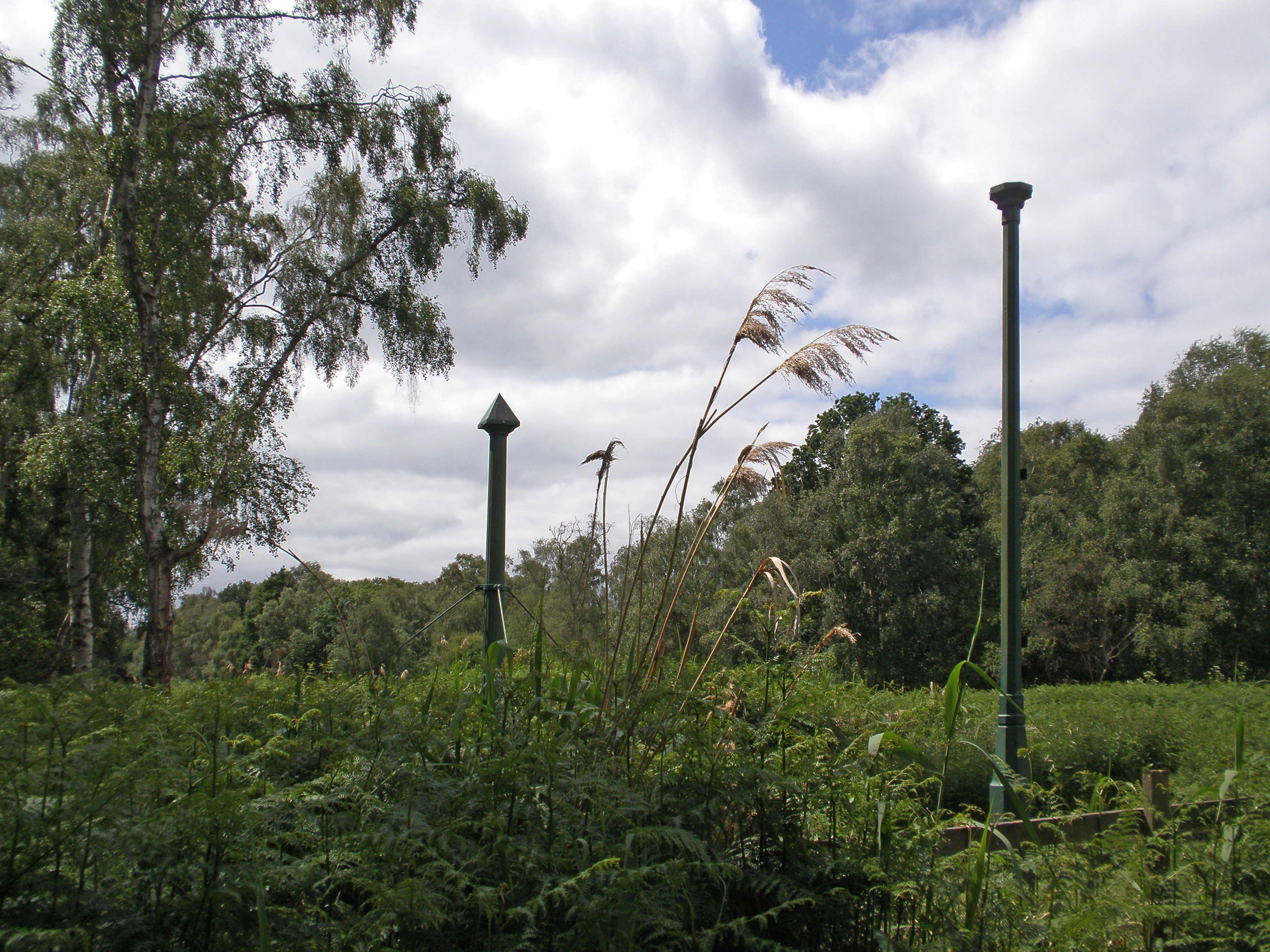 Holme Fen Posts