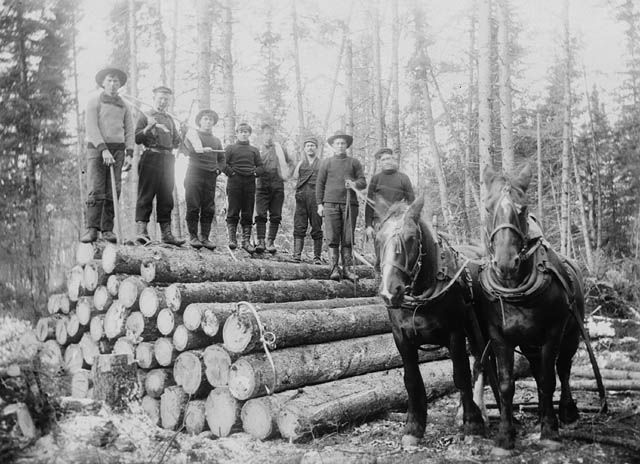 File:Horses hauling timber Ontario.jpg