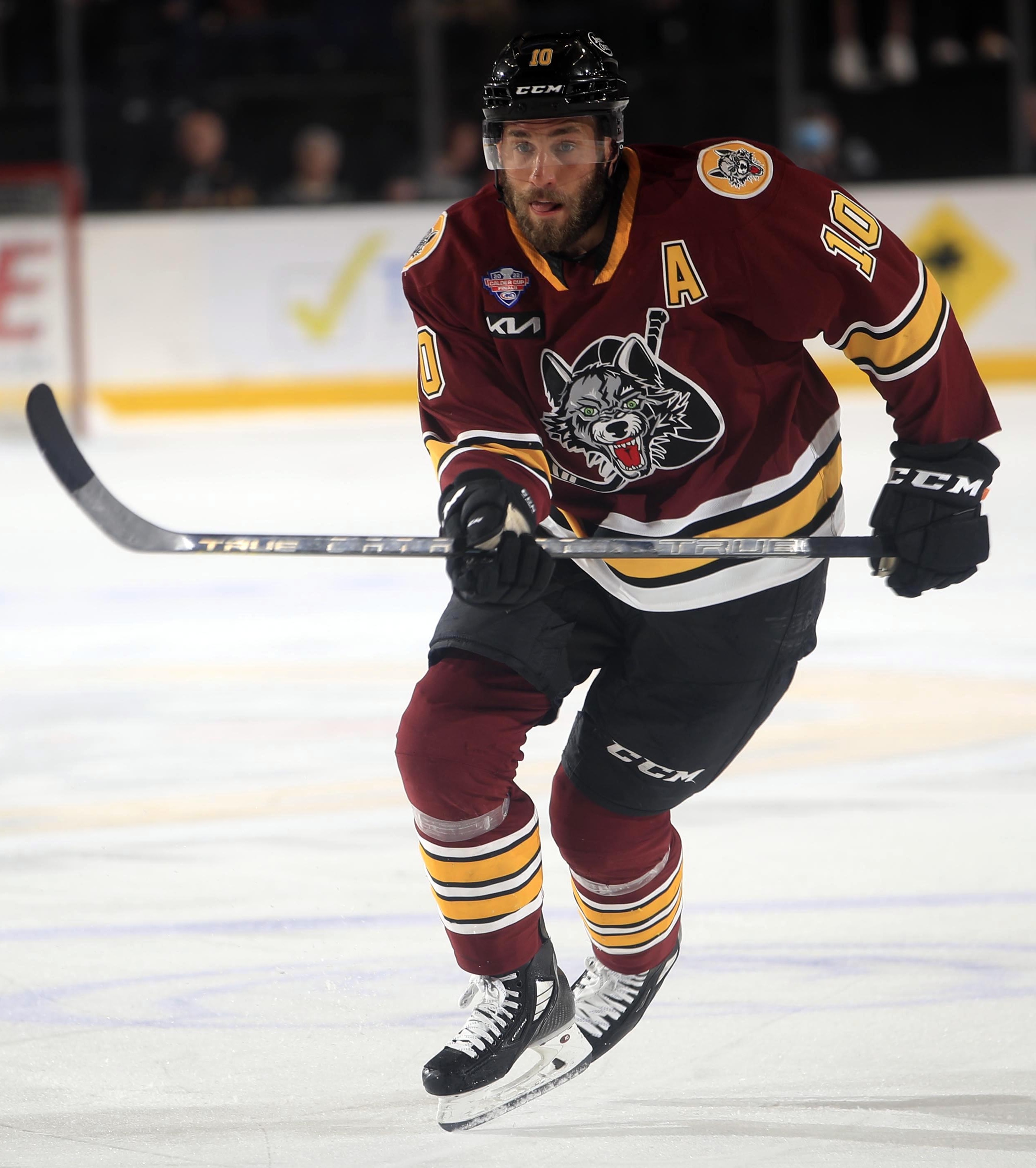 Chicago Wolves - Wikipedia