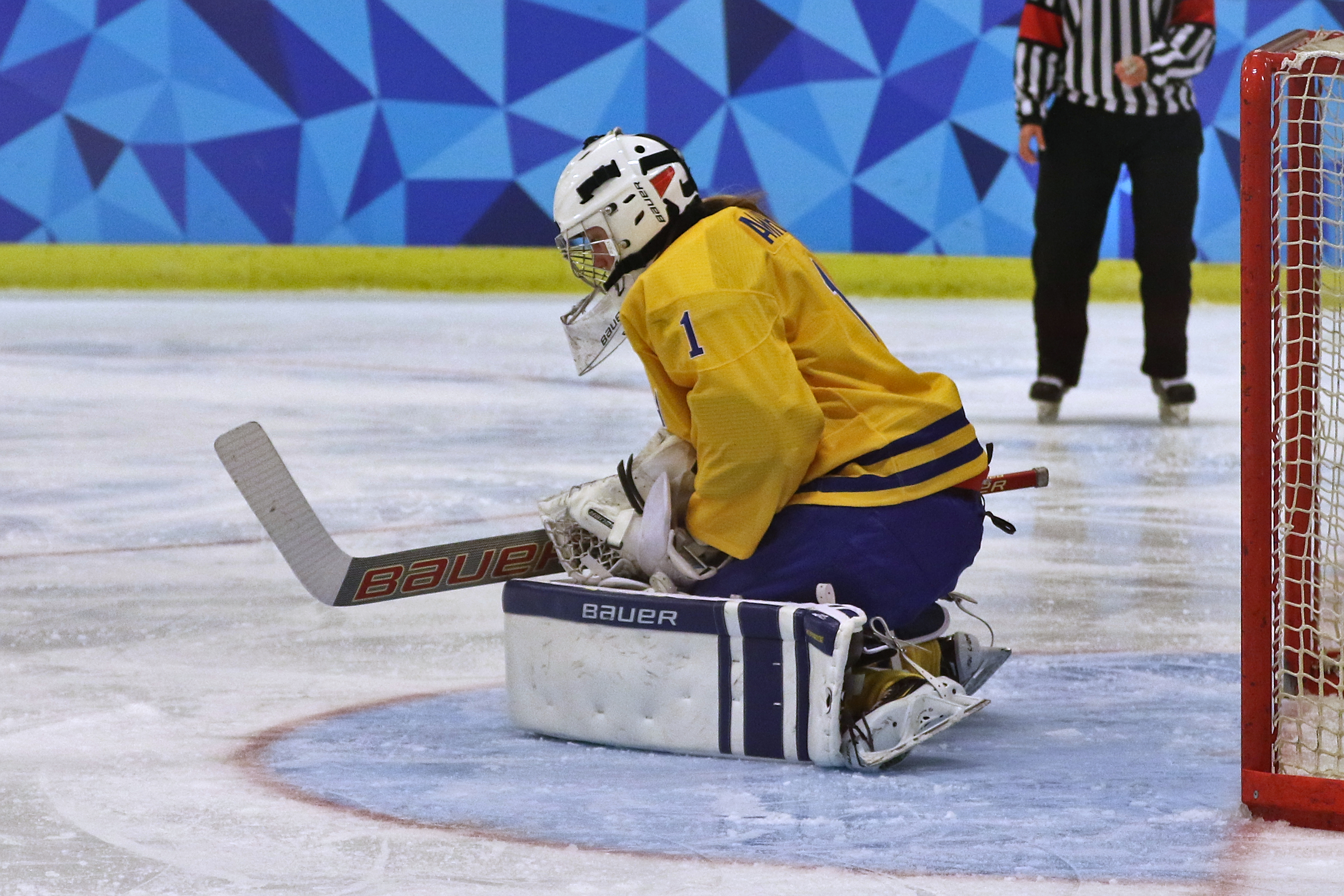 Хоккей швеция женщины. Swedish Hockey фотоархив.