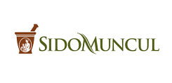File Logo Sidomuncul Png Png Wikipedia