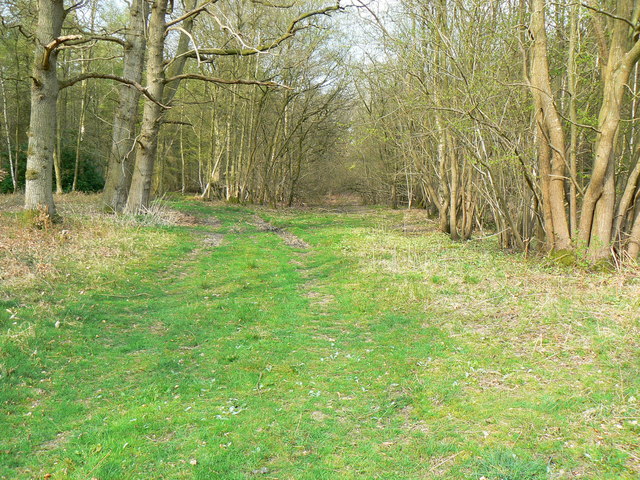 File:London Ride, Bedwyn Common, Great Bedwyn - geograph.org.uk - 399107.jpg