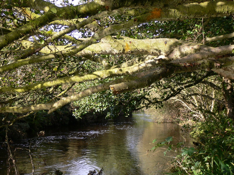 File:Looking west down the River Neb near Ballabrooie - geograph.org.uk - 2114911.jpg