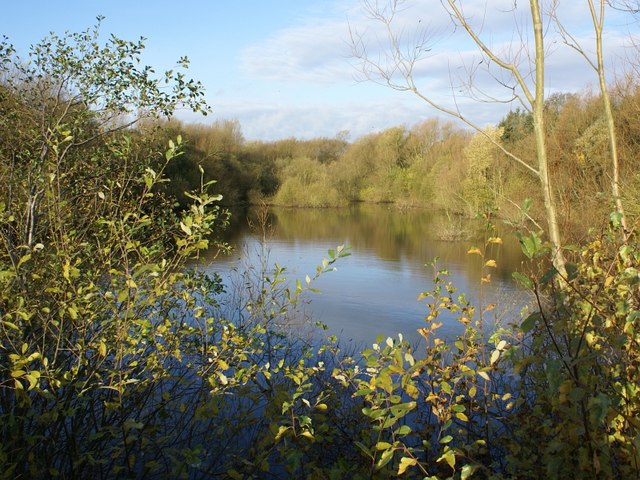 File:Ogston Reservoir - northern tip late autumn - geograph.org.uk - 278429.jpg