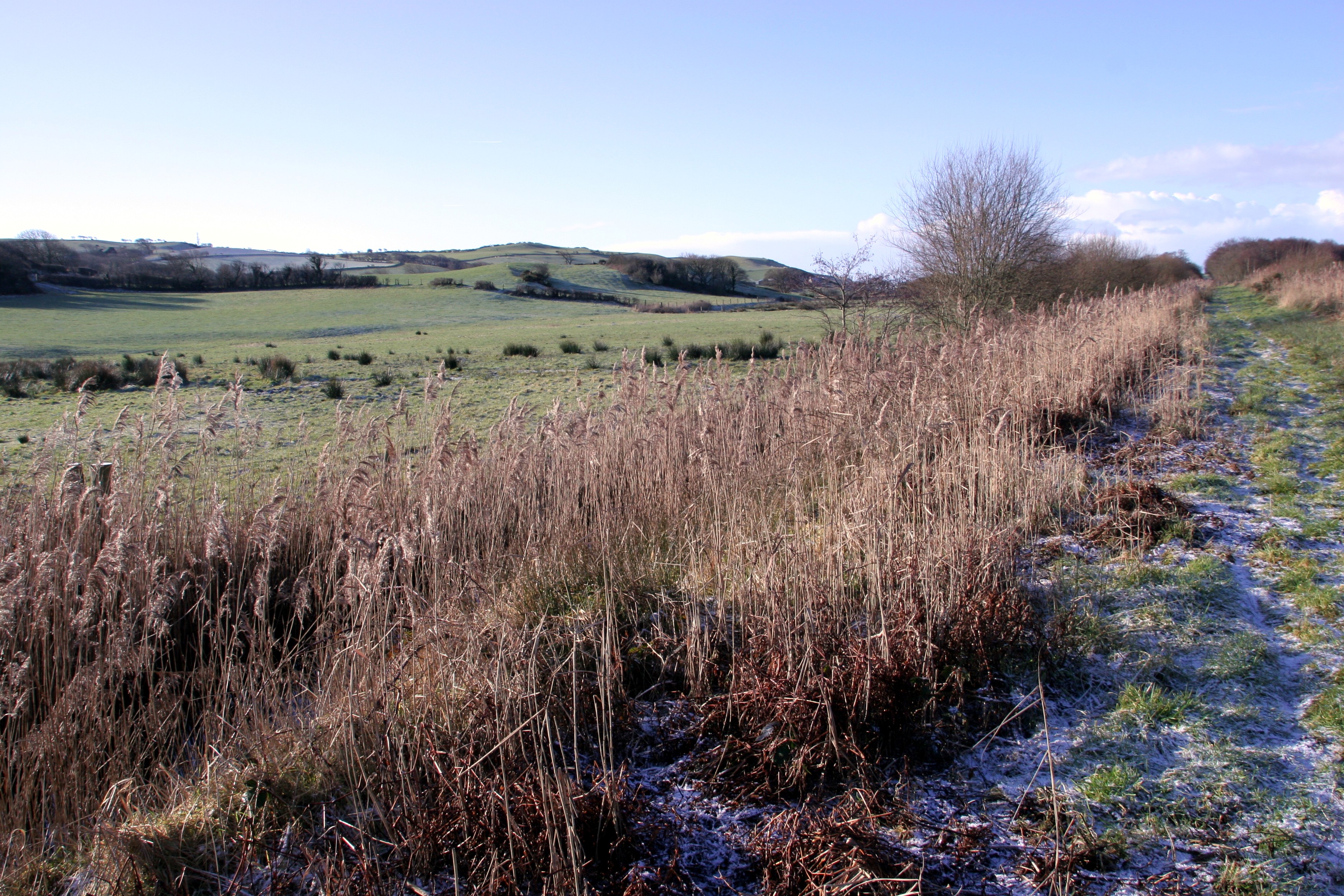 Dyfi Biosphere