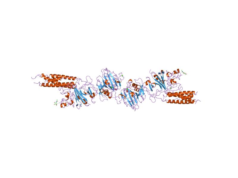 File:PDB 1fzf EBI.jpg