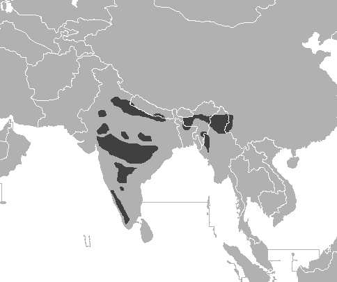 Archivo:Panthera tigris tigris distribution map.png