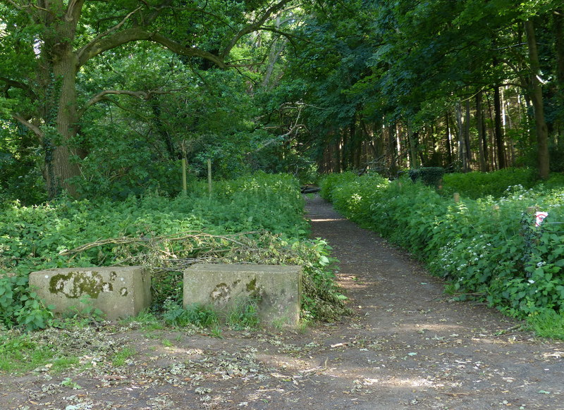 File:Peddars Way crossing Tottington Road - geograph.org.uk - 5419637.jpg