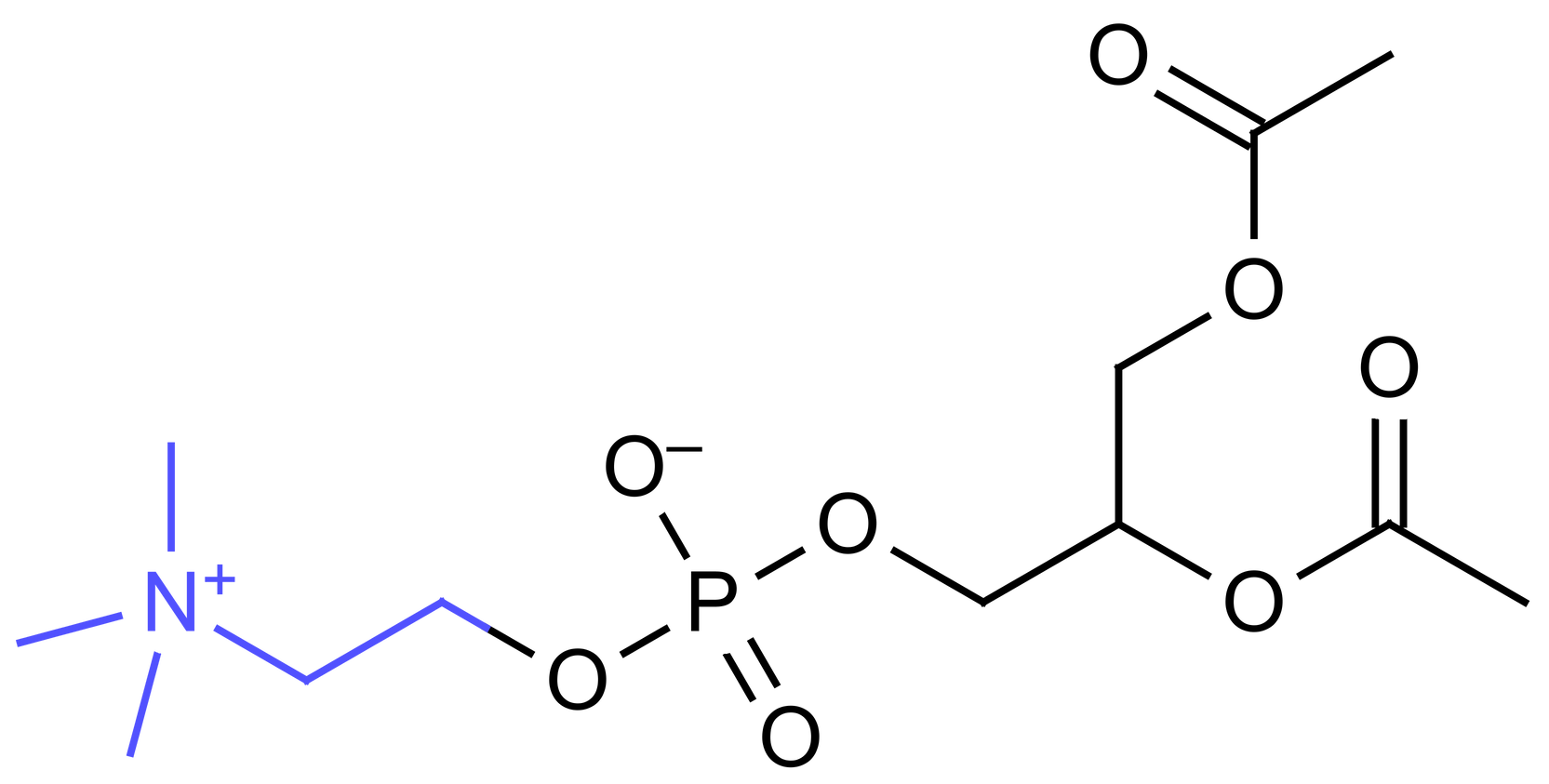 Fosfatidilcolina