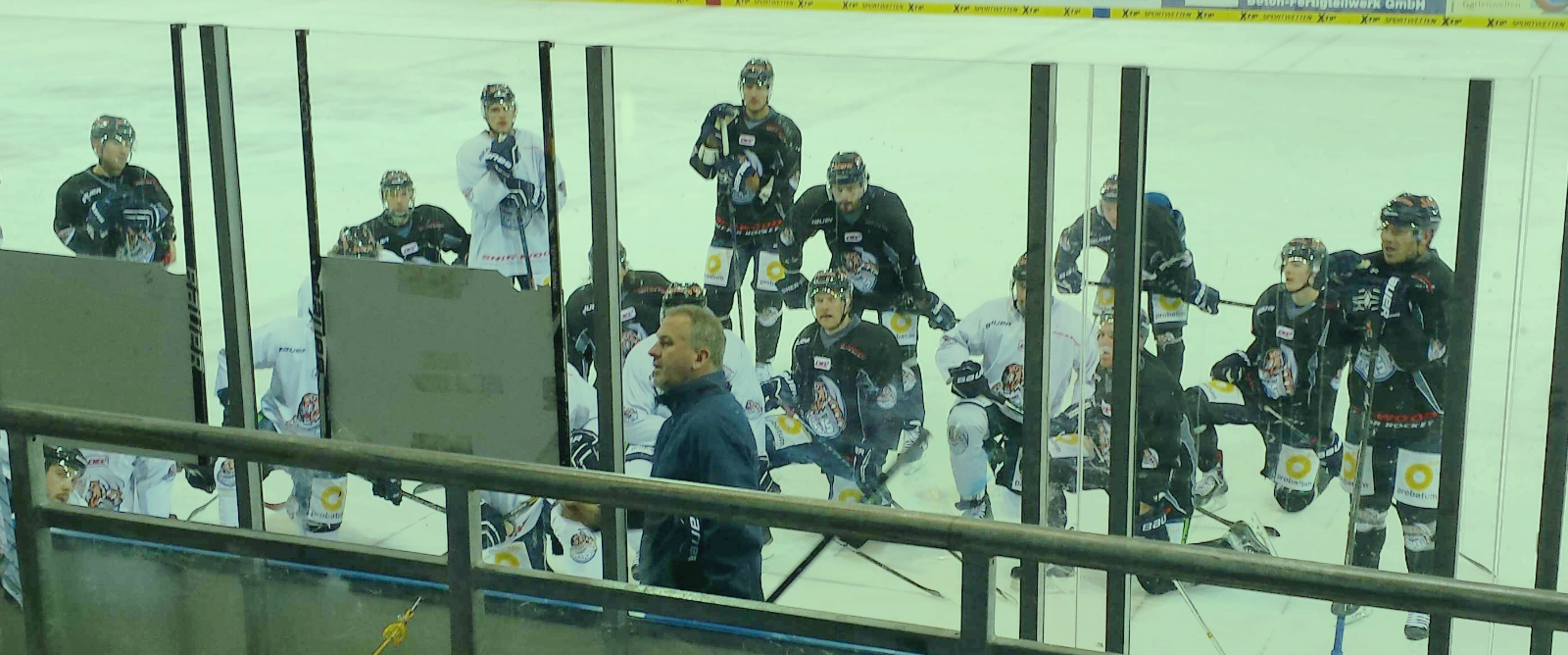 Rob Wilson während einer Trainingseinheit der [[Straubing Tigers