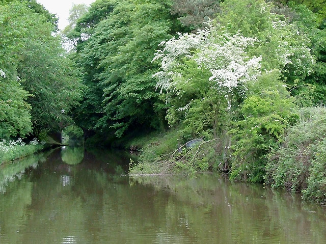 File:Shropshire Union Canal near Church Eaton, Staffordshire - geograph.org.uk - 1385215.jpg