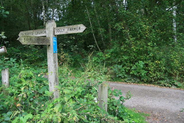 Signpost on Whitmoor Common - geograph.org.uk - 1463450