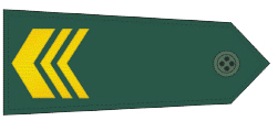 Rank insignia of Staff Sergeant (中士) in Taiwan.