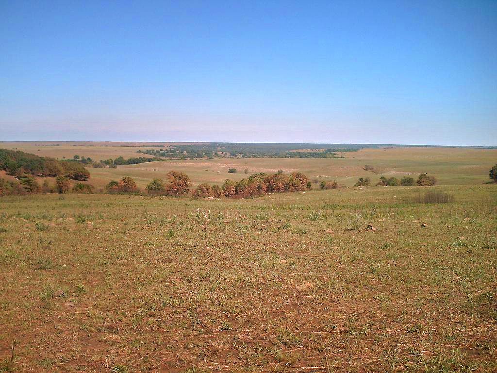 Tallgrass Prairie Preserve