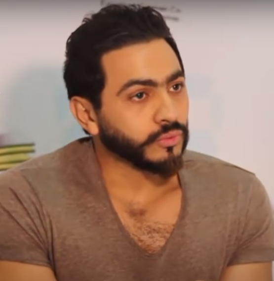 Tamer Hosny Wikipedia