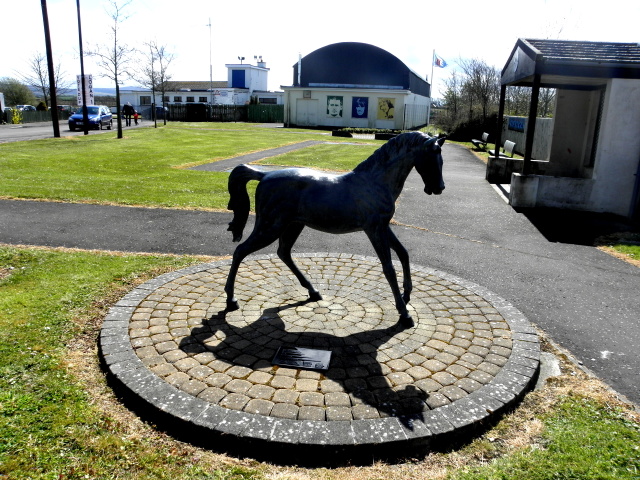 File:The Moss-Side Foal, Mos-side, County Antrim - geograph-4927336.jpg