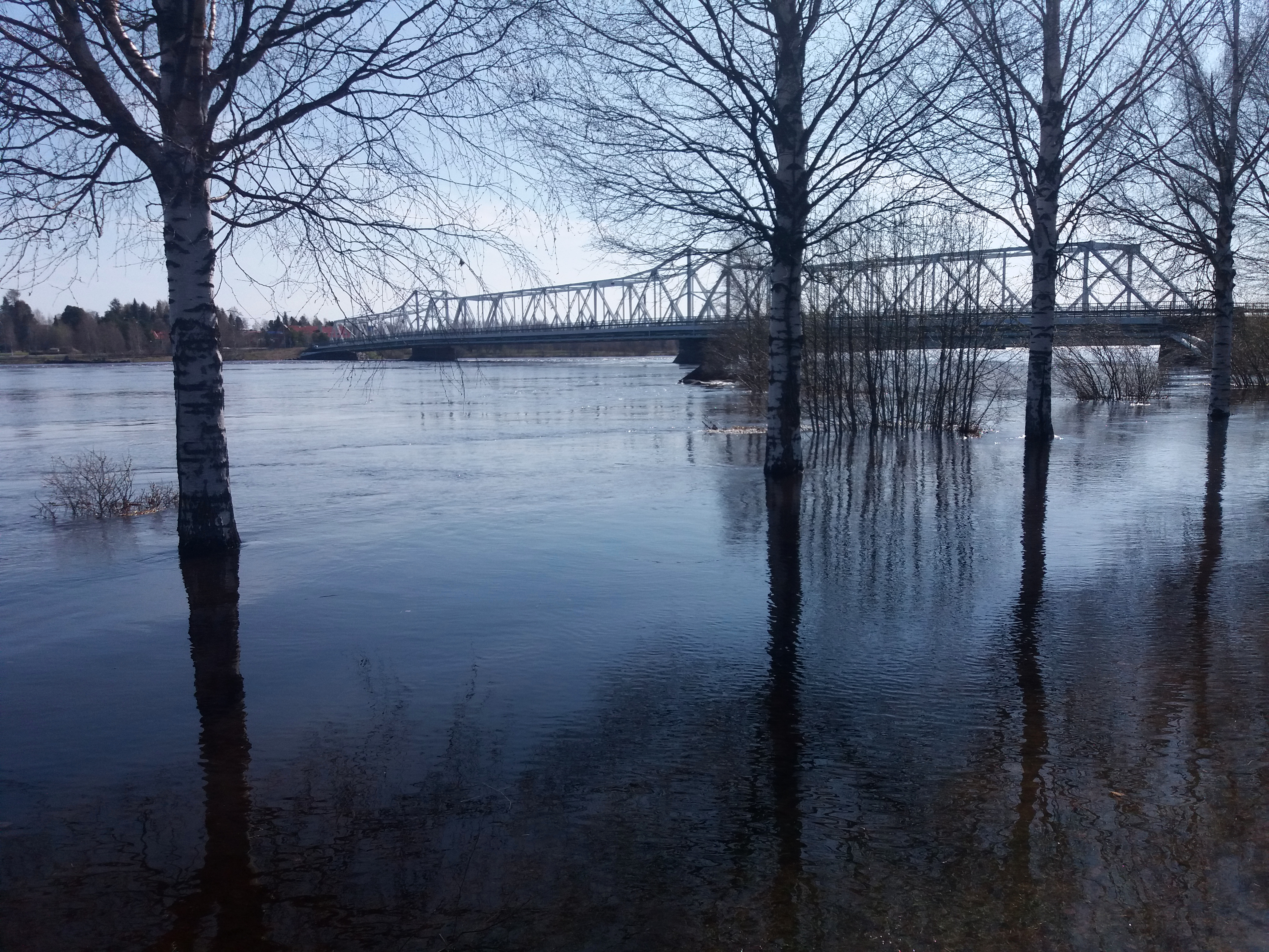 Каналы реки ея. Torne River. Миус наводнение. Riverine Floods.