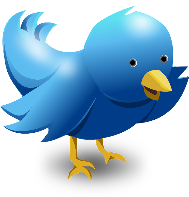 twitter bird png