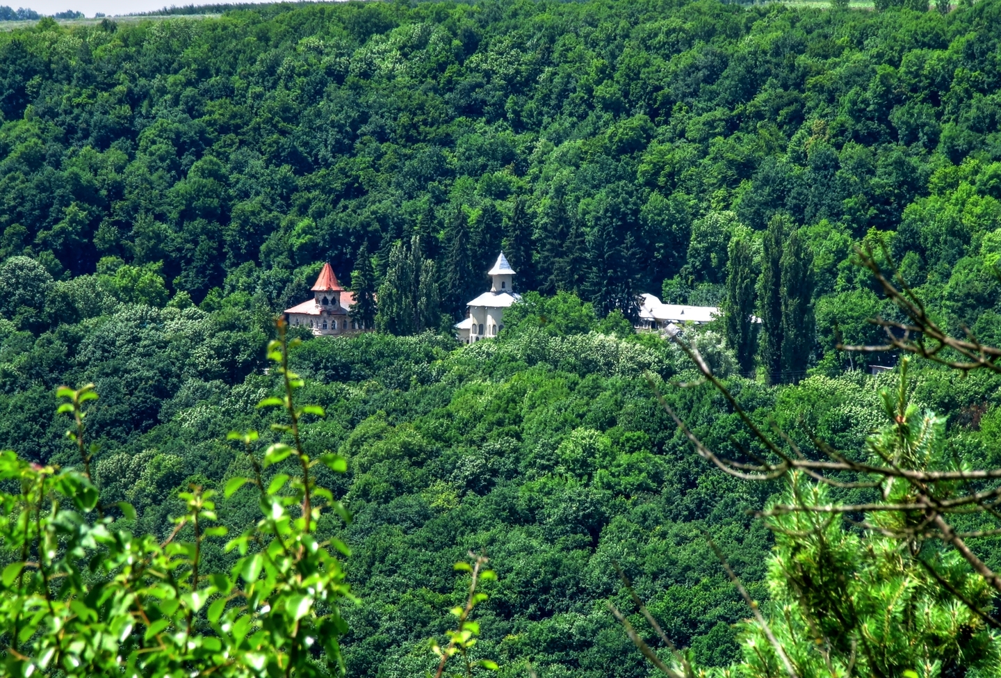 Монастырь Рудь Молдова