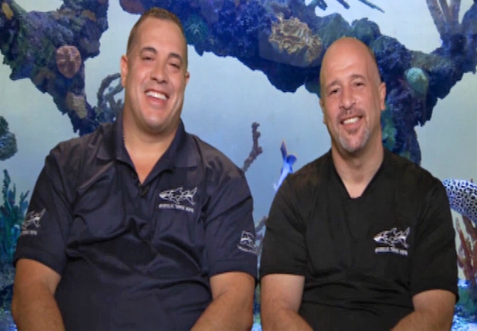 Fish Tank Kings video clips of premiere episode featuring Marlins Stadium  aquarium