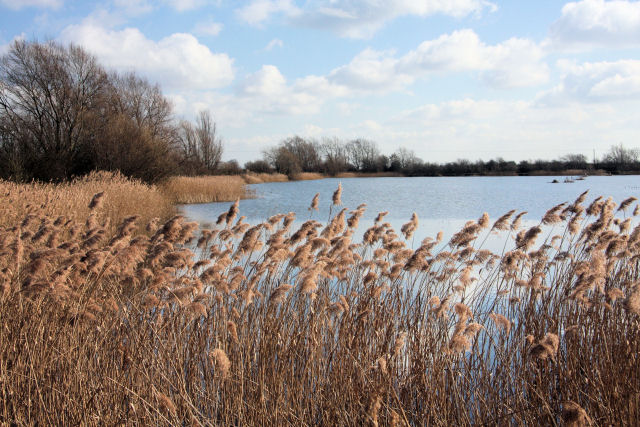 File:Angling lake at Block Fen - geograph.org.uk - 1189012.jpg