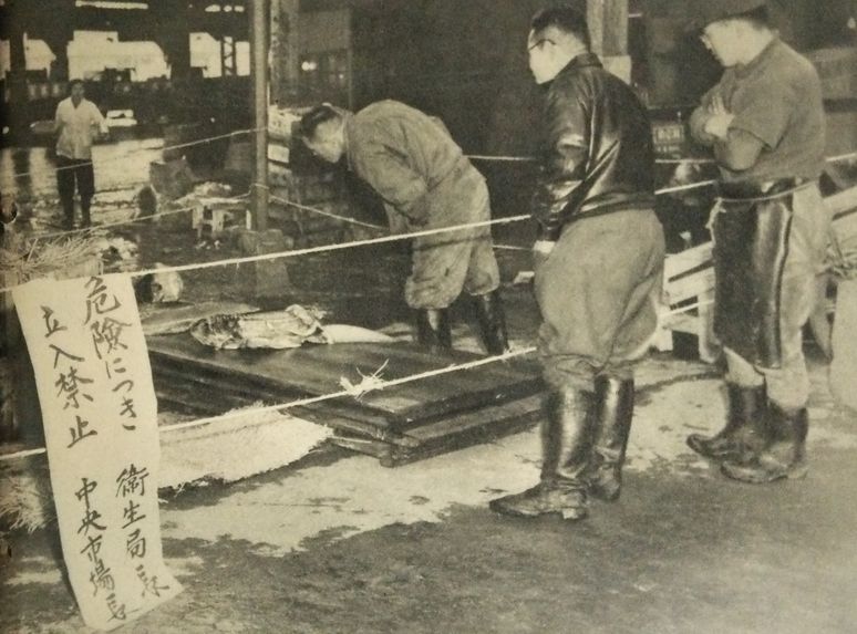 File:Atmic tunas in Osaka Central Market.JPG