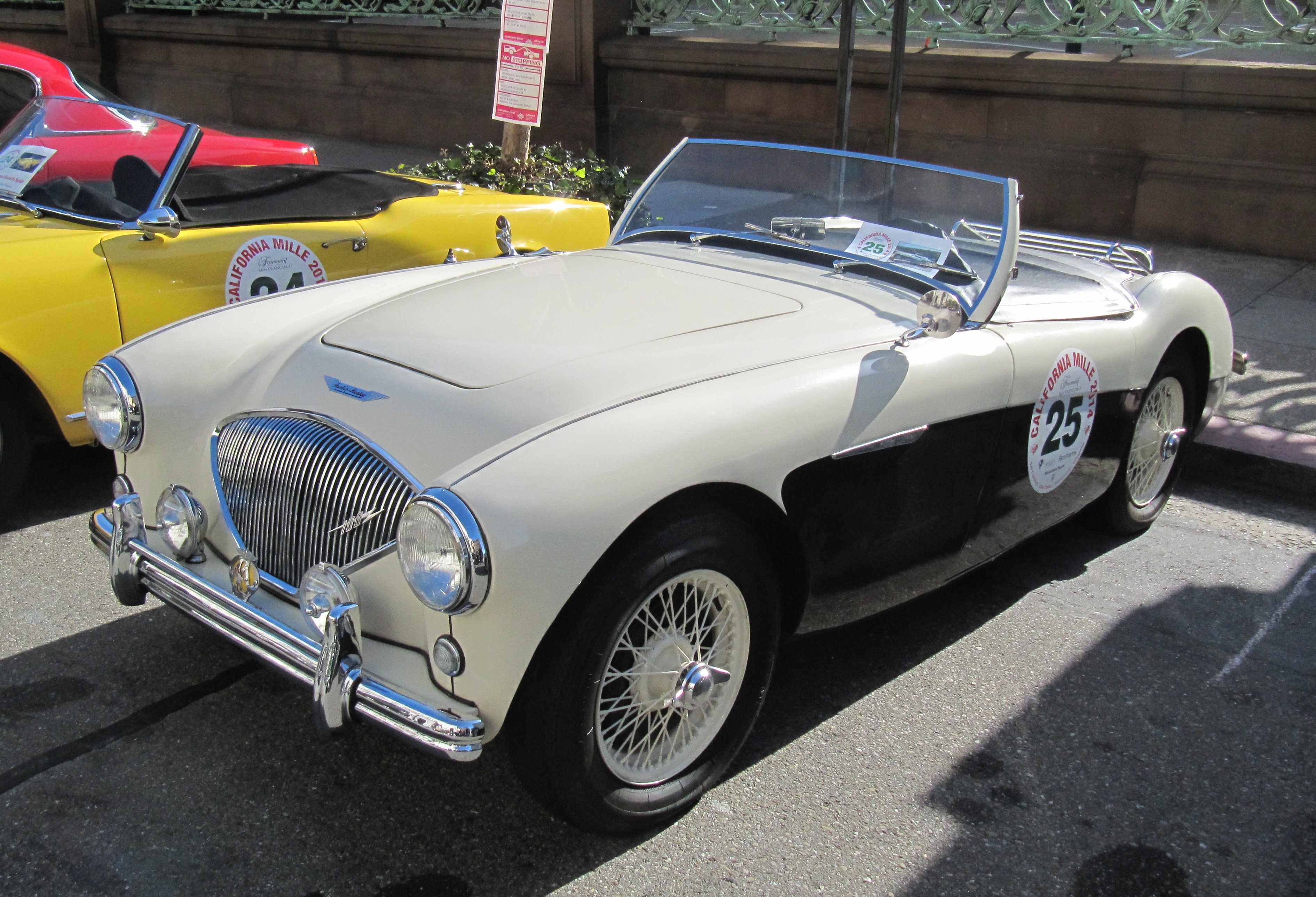 Austin Healey 100s Shelby