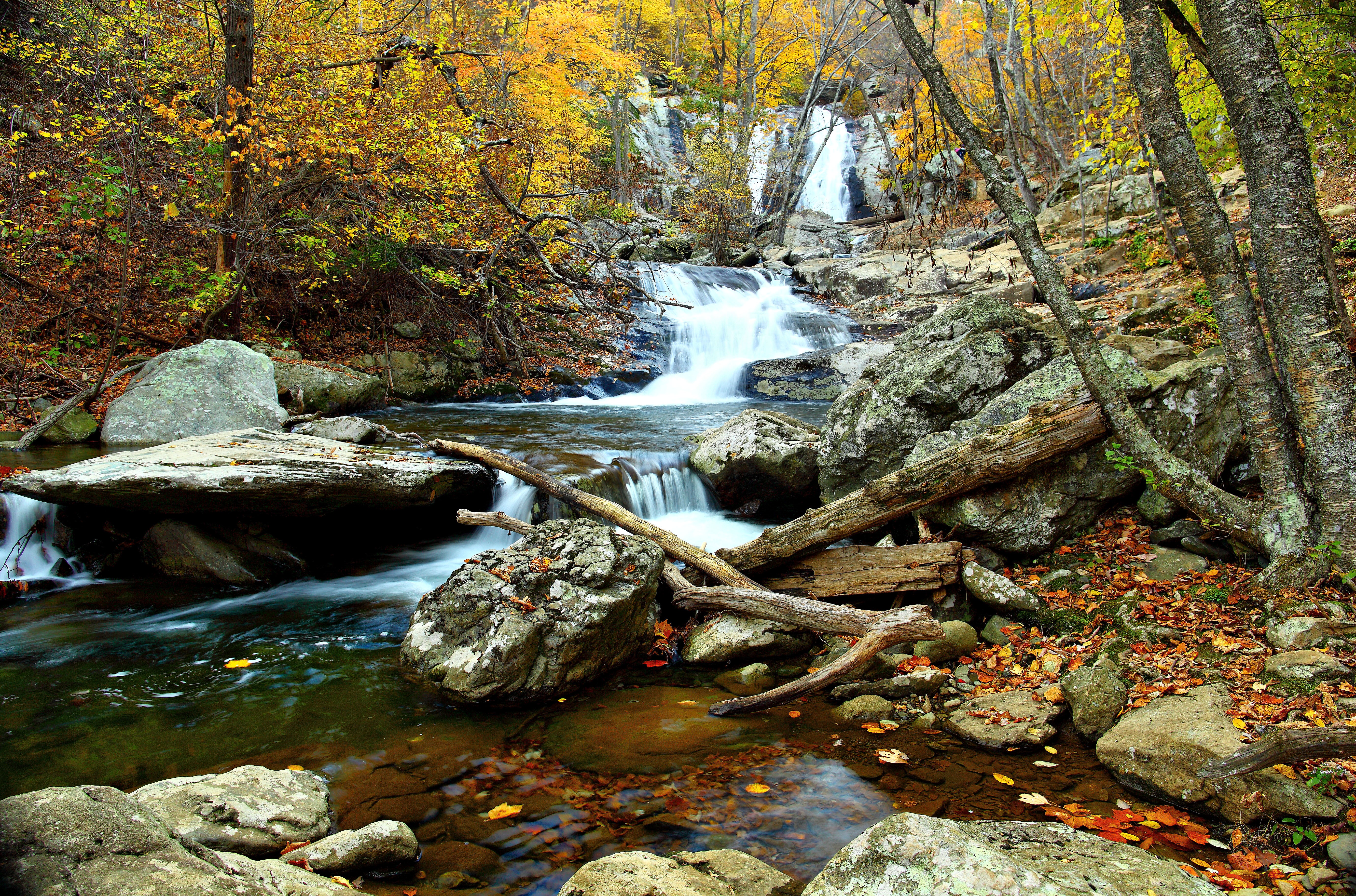Autumn clear water waterfall landscape_ _Virginia_ _ForestWander
