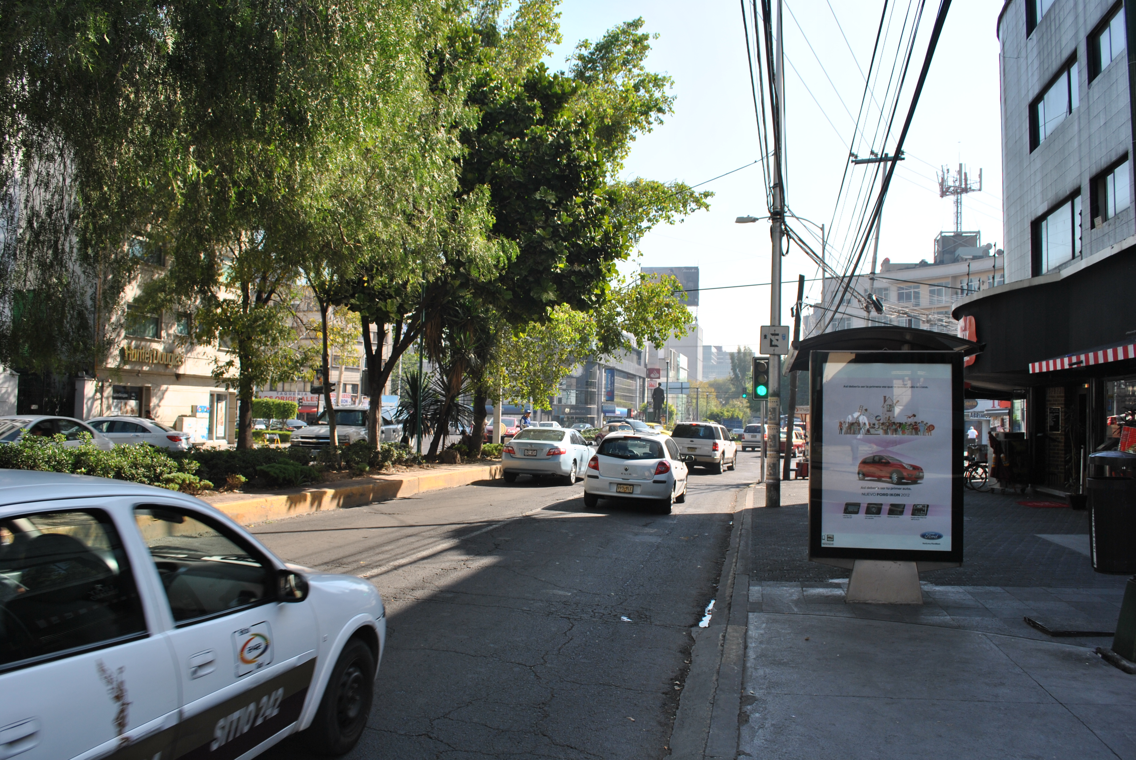 snor laden Lezen File:Avenida Presidente Masaryk, Polanco.jpg - Wikimedia Commons