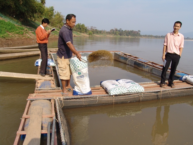 File:Bolikhamxay Thabok Fishes.JPG