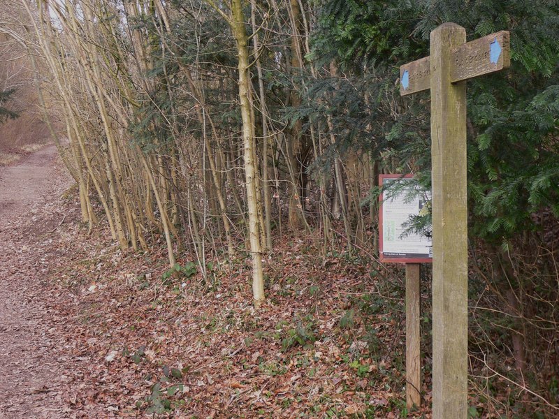 File:Bridleway enters West Dean Woods - geograph.org.uk - 1747657.jpg