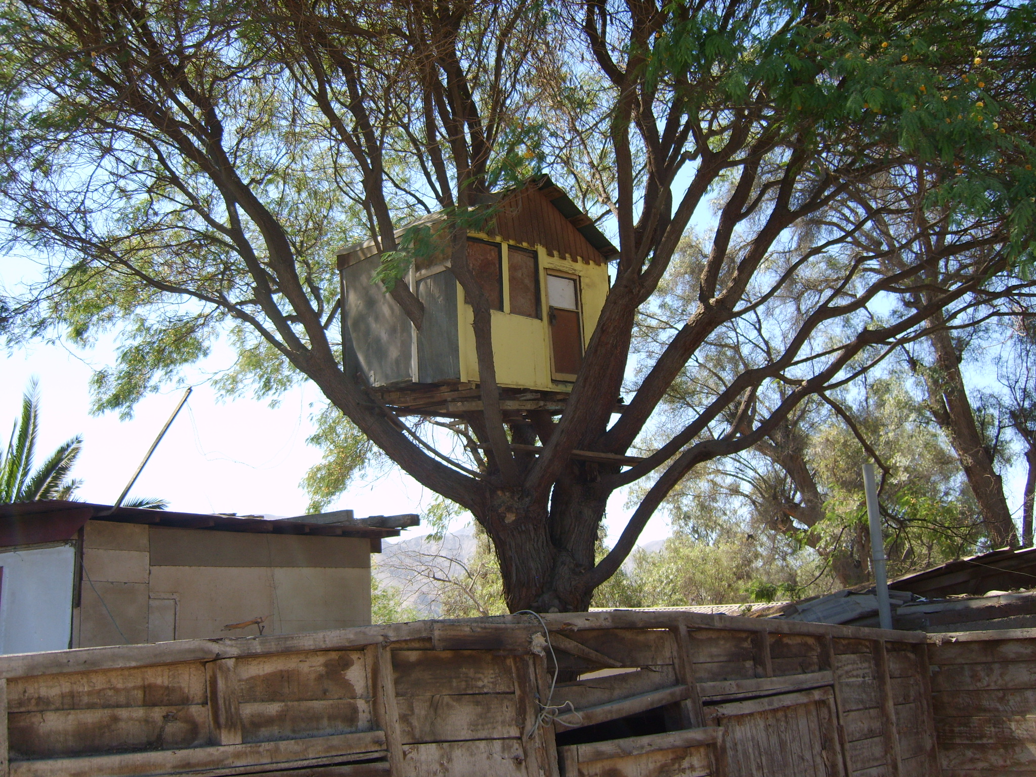 Como hacer casa en arbol