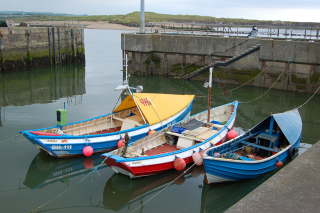 File:Cobles in the harbour, Amble (1) - geograph.org.uk - 1366403.jpg