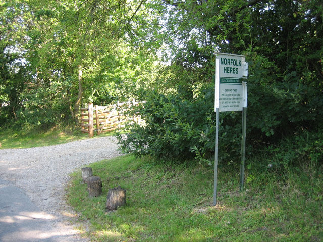 Entrance to Norfolk Herbs, edge of Gressenhall - geograph.org.uk - 524187