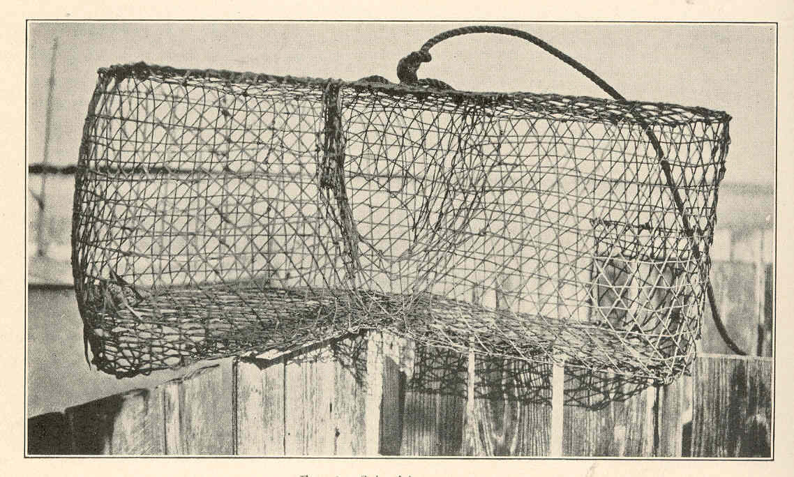 File:FMIB 39056 Spiny lobster trap.jpeg - Wikimedia Commons