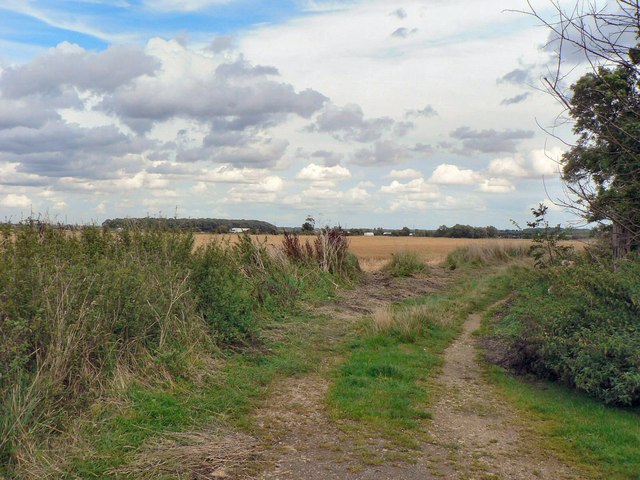 File:Farm track at Holdingham - geograph.org.uk - 952682.jpg